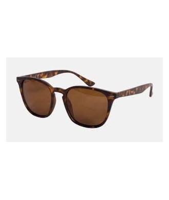 kaper sklep KORDA Okulary  shoreditch - matt tortoise shell/brown lens