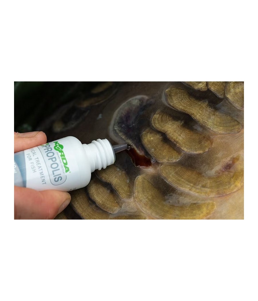 kaper sklep Korda Preparaty do odkażania CARP CARE KIT