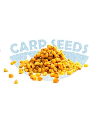 Carp Seeds Duże ziarna Kukurydza Naturalna 2kg