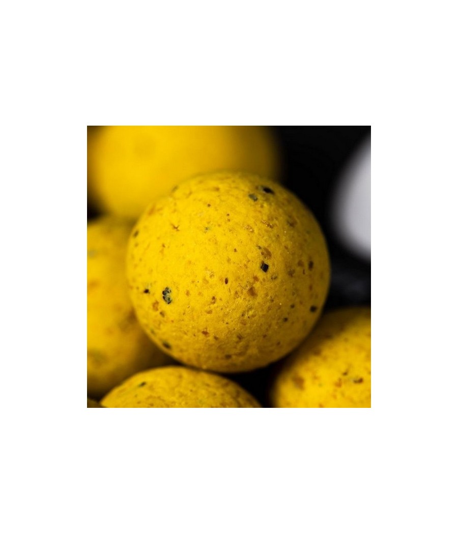 kaper sklep MAINLINE Shelf Life Boilies Essential Cell 15mm 1kg