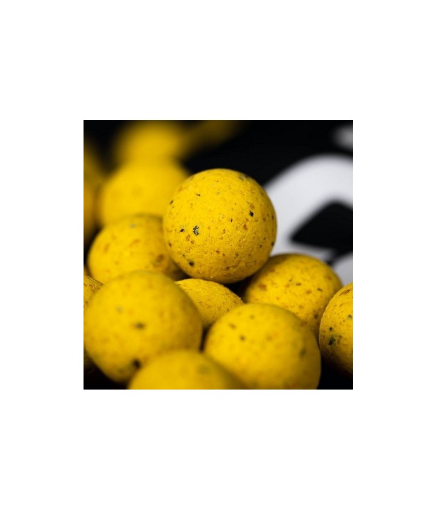 kaper sklep MAINLINE Shelf Life Boilies Essential Cell 15mm 1kg