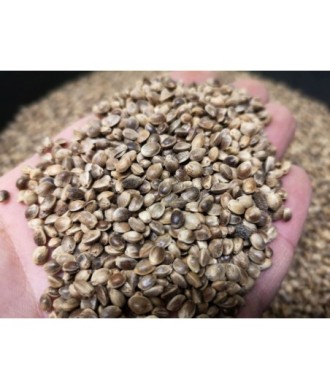 Carp Seeds Konopie Surowe 5kg