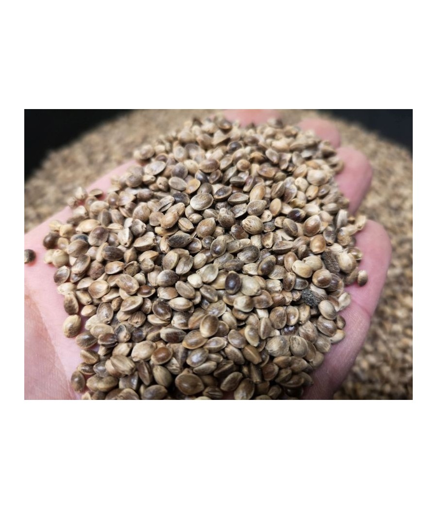 Carp Seeds Konopie Surowe 5kg