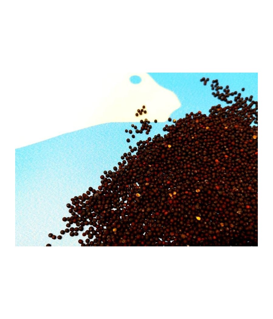 Carp Seeds rzepik Surowy 5kg