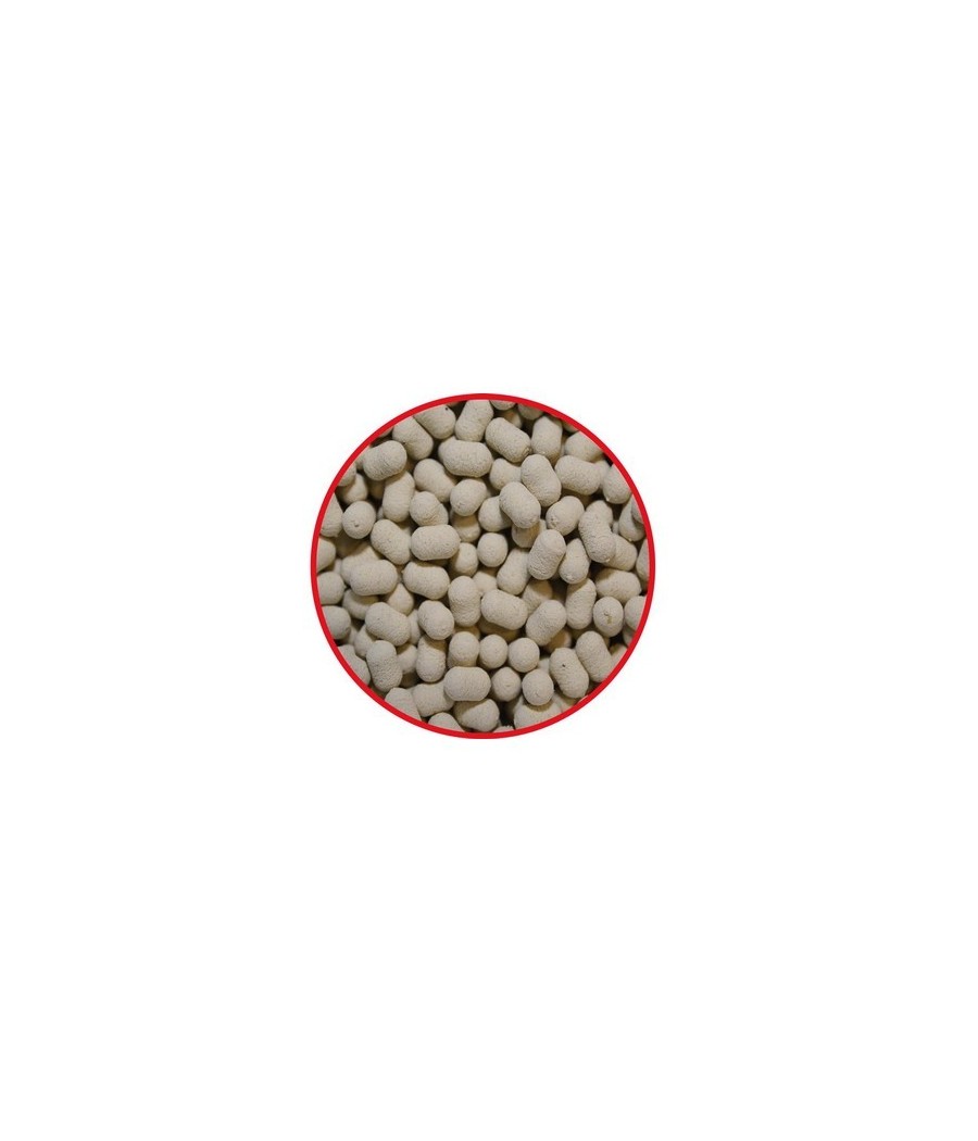 kaper sklep MatchPRO TOP DUMBELLS POP UP Czosnek 7mm 20g kaper sklep MatchPRO TOP DUMBELLS POP UP Czosnek 7mm 20g