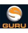 Guru