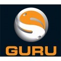 Guru