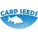 Carp Seeds