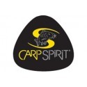 Carp Spirit